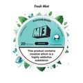 Fresh Mint