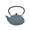 Cast Iron Teapot - Blue 800ml