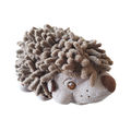 Hedgehog