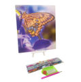Butterfly Beauty