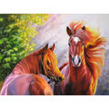 Horses