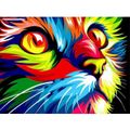 Colourful Cat