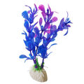 BlueBroad