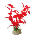 RedBroad