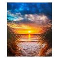 Beach Sunset