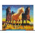 Wild Horses