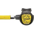 Black/Yellow
