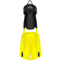 Black and Yellow