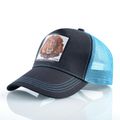 Light Blue Lion