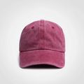 Raspberry