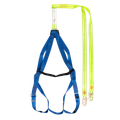 Lime/Blue