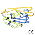 Blue/Yellow