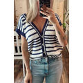Blue Stripe