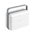 Arctic White