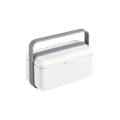 Arctic White