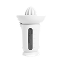Arctic White