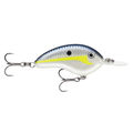 Helsinki Shad
