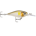 FNS04 AYU