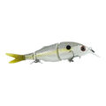 Pretty Shad