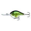 Baby Bass