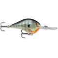 Bluegill
