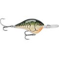 Olive Green Craw