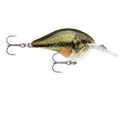 Largemouth Bass