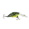 BABY BASS