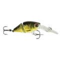CARP