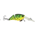 FIRE TIGER