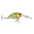 GOLD BASS