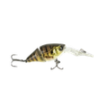 VLEI KURPER