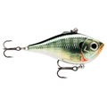Chrome Bluegill