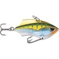 Yellow Perch
