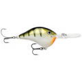 Yellow Perch