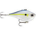 Helisinki Shad