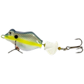 SEXY SHAD