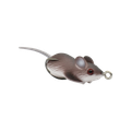 VELD MOUSE