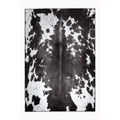 Evanna Rugs - JZ504