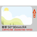 50x30mm-230pcs Spring scene
