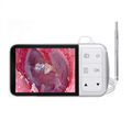 C02 3.9mm