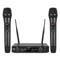 2 Microphone + Host