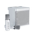 YS-203 (Silver)