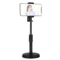 Desktop Mount