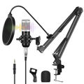 Microphone Kits (Silver)
