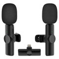 Dual Microphones