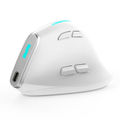F36 (White)