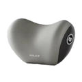 Gray Headrest
