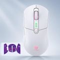 White Purple