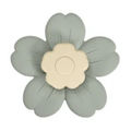 Sage and Cream